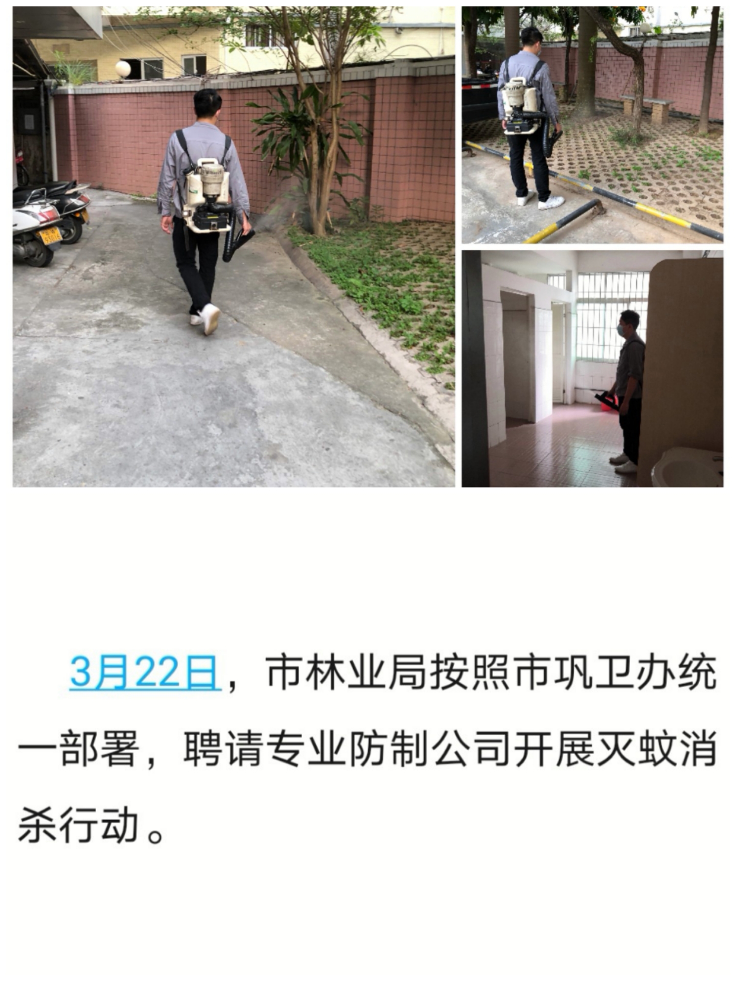 市林業(yè)局鞏衛(wèi)每日動(dòng)態(tài)20210322.jpg