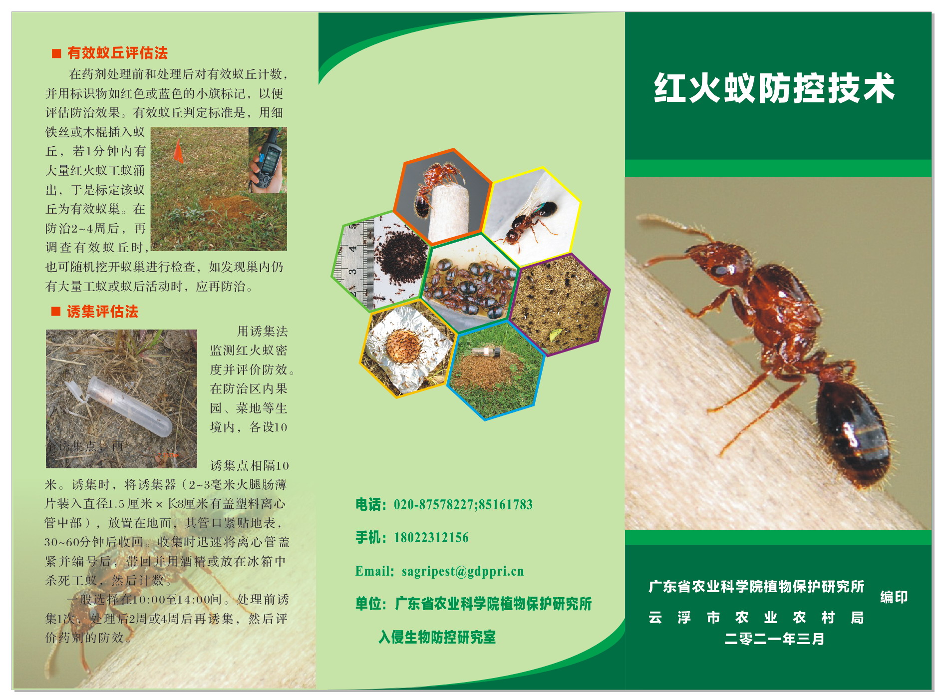 紅火蟻防控技術(shù)（正面）.jpg