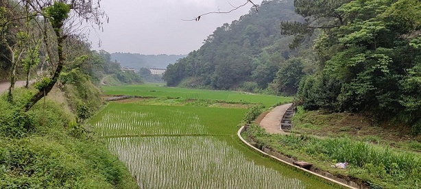 圖片1.jpg