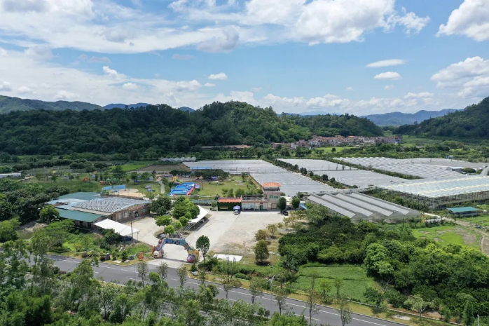 云浮特色文旅品牌產(chǎn)品③ | 新興天露生態(tài)之旅