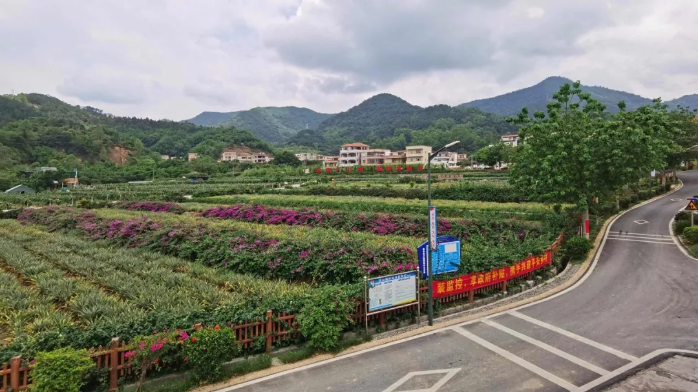 云浮特色文旅品牌產(chǎn)品③ | 新興天露生態(tài)之旅