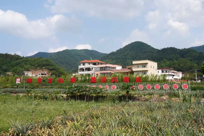 云浮特色文旅品牌產(chǎn)品③ | 新興天露生態(tài)之旅
