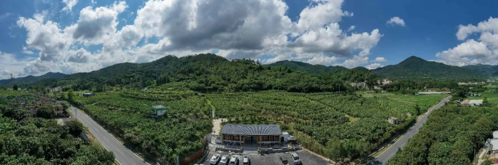 云浮特色文旅品牌產(chǎn)品③ | 新興天露生態(tài)之旅