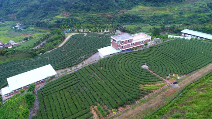 云浮特色文旅品牌產(chǎn)品③ | 新興天露生態(tài)之旅