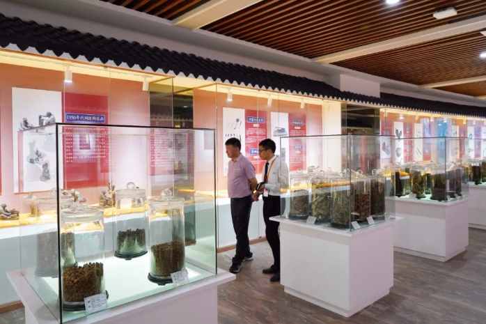 特色文旅品牌產(chǎn)品④ | 云城鄉(xiāng)村生態(tài)康養(yǎng)之旅