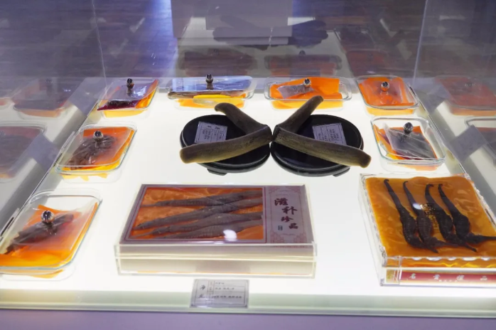 特色文旅品牌產(chǎn)品④ | 云城鄉(xiāng)村生態(tài)康養(yǎng)之旅