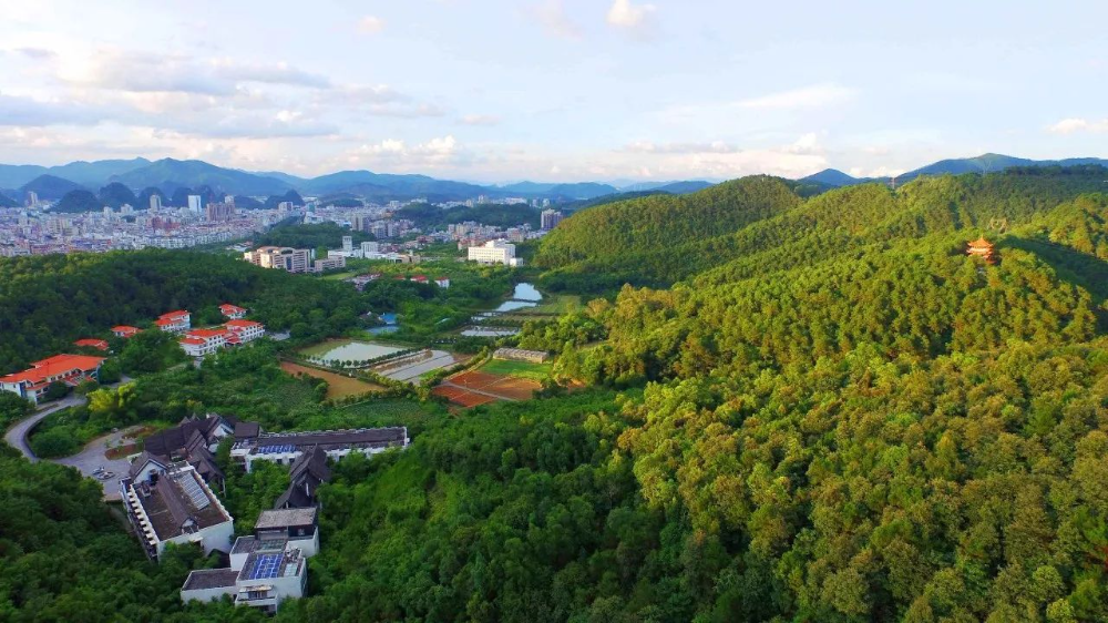 南山森林公園1.jpeg