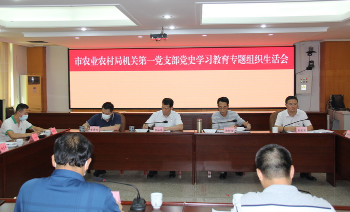 招松金以普通黨員身份參加所在黨支部黨史學(xué)習(xí)教育專題組織生活會(huì).jpg