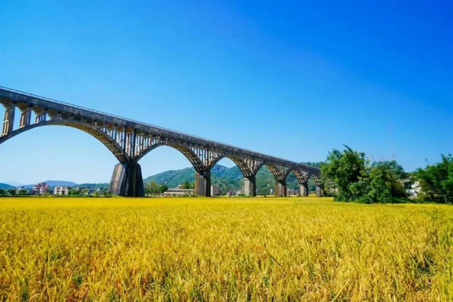 圖片7.jpg