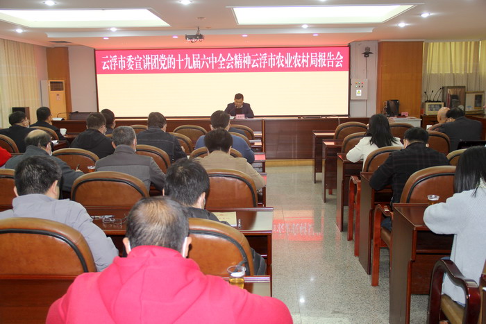 黨的十九屆六中全會精神宣講1.jpg