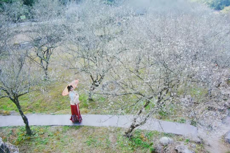 圖片1.jpg