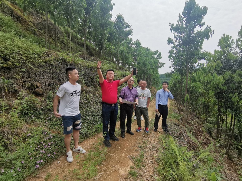 中 心 黨 建9.jpg