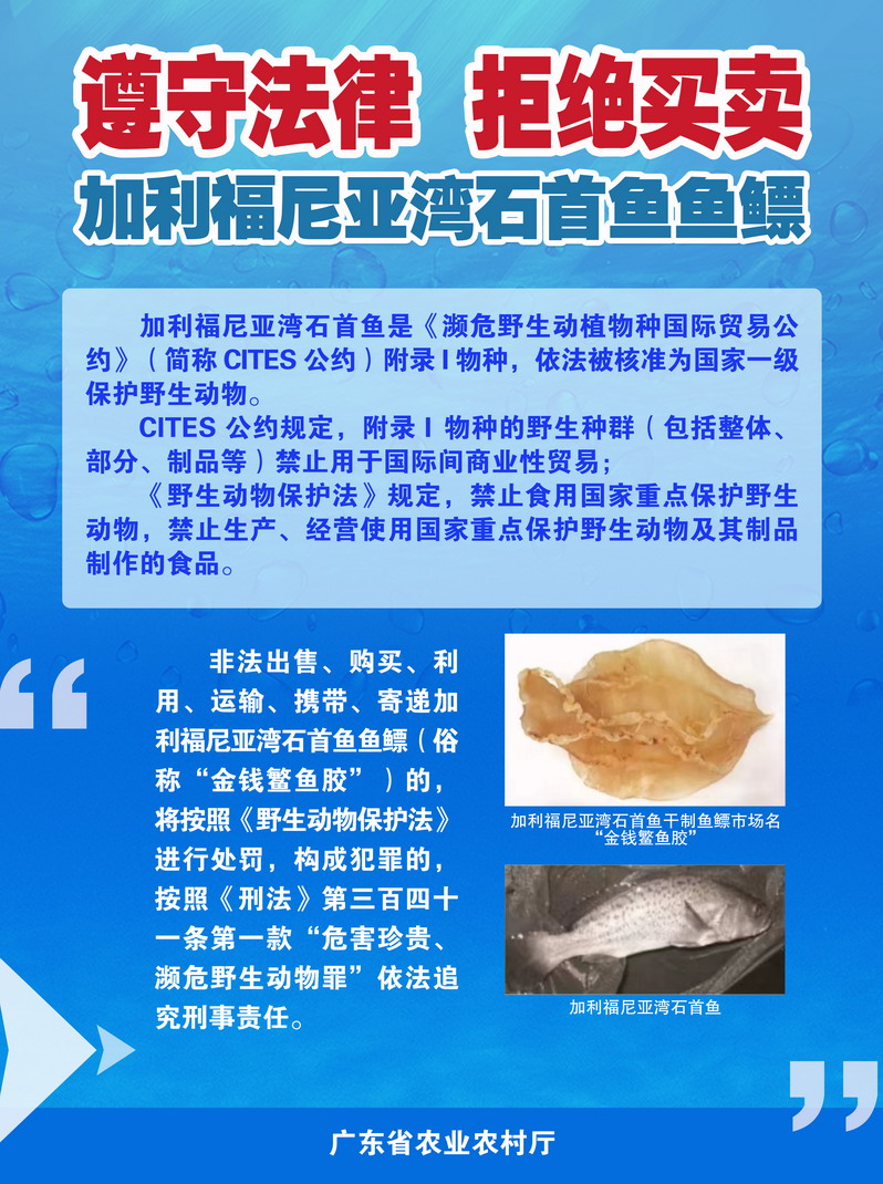 石首魚宣傳海報1.jpg
