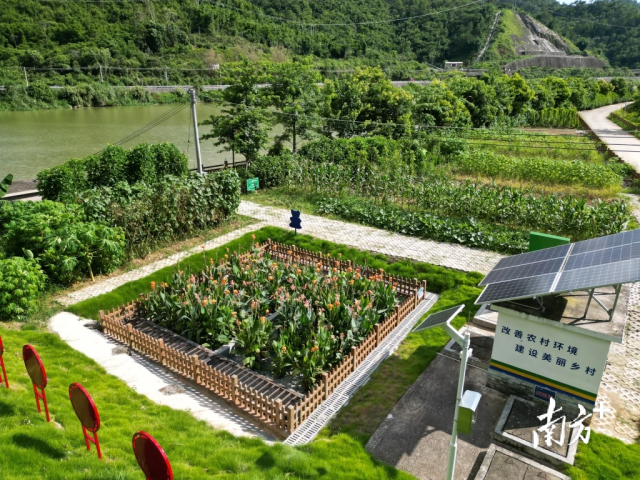 資源化利用模式。