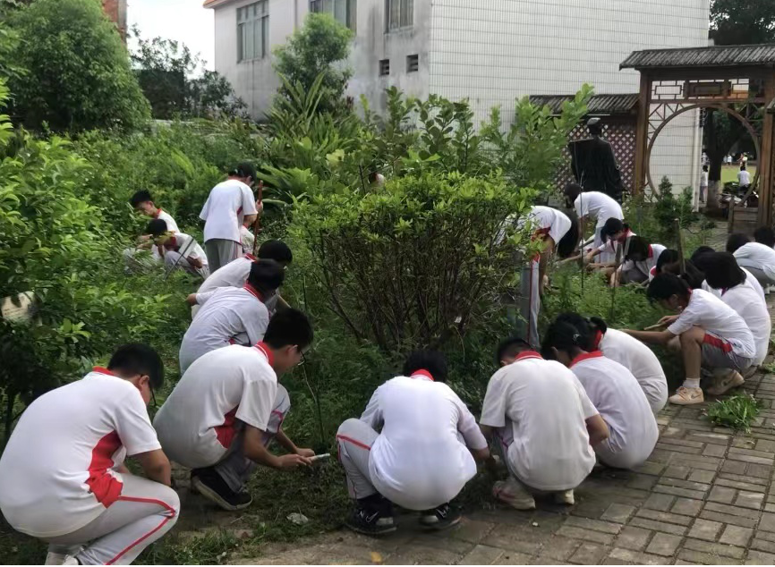圖片