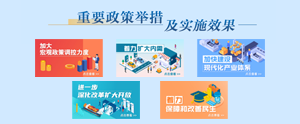 重要政策舉措及實(shí)施效果