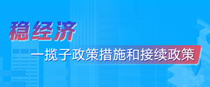 穩(wěn)經(jīng)濟(jì)一攬子政策措施和接續(xù)政策