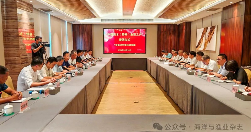 討論會(huì)1.webp.jpg