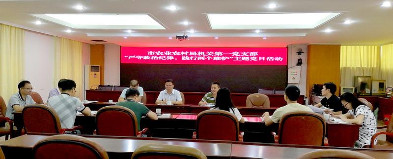 “嚴守政治紀律、踐行兩個維護”主題黨日活動照片.jpg