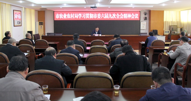 云浮市農(nóng)業(yè)農(nóng)村局學(xué)習(xí)貫徹省委十二屆十二次全會、市委六屆九次全會精神.jpg