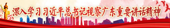 深入學(xué)習(xí)習(xí)近平總書記視察廣東重要講話精神