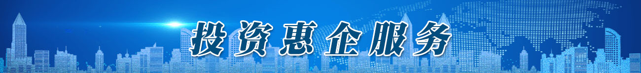 投資惠企服務