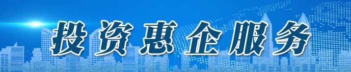 投資惠企服務